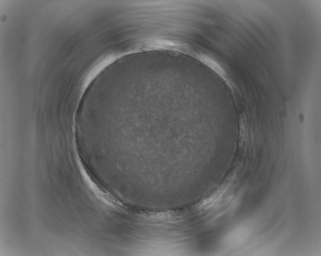 X0000063531047200601201453