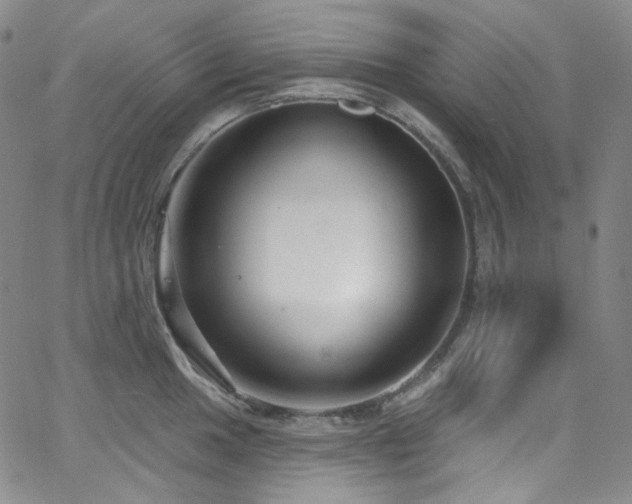 X0000063531049200601201453