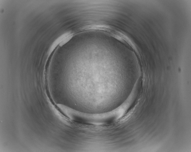 X0000063531050200601201453