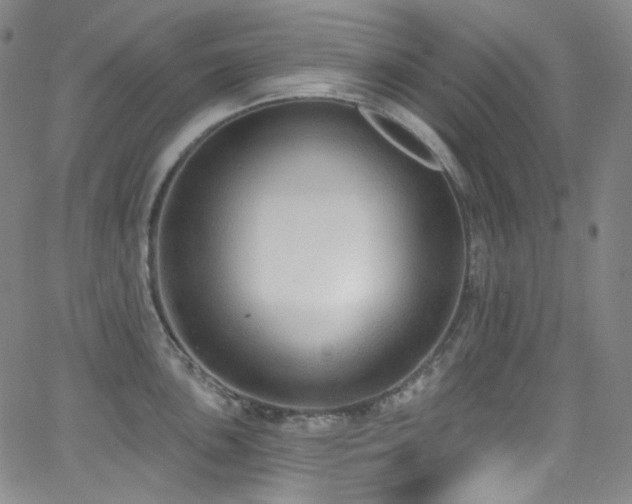 X0000063531051200601201453