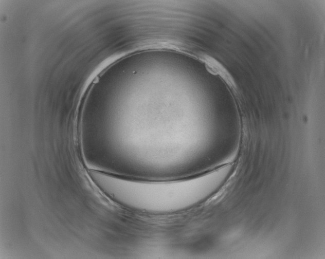 X0000063531052200601201453