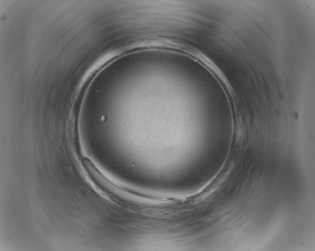 X0000063531053200601201453