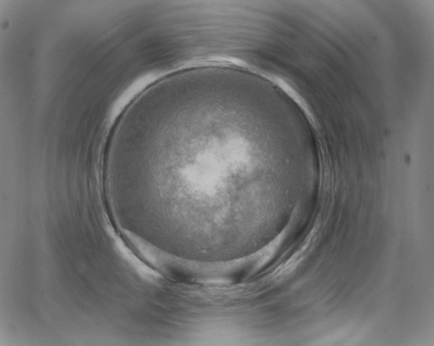 X0000063531054200601201453