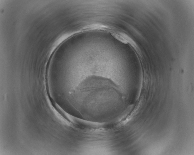 X0000063531055200601201453