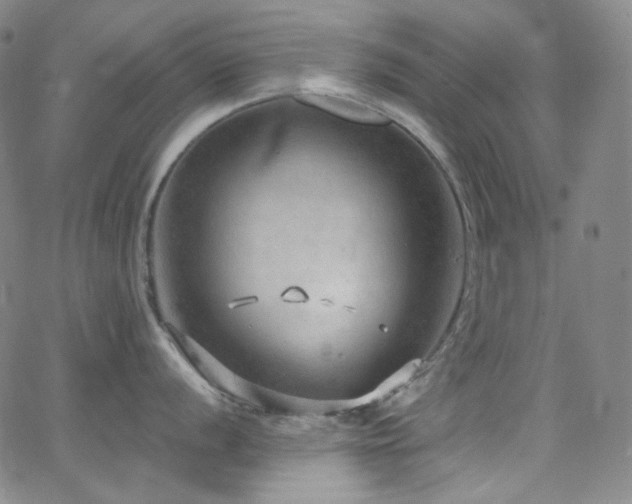 X0000063531056200601201453