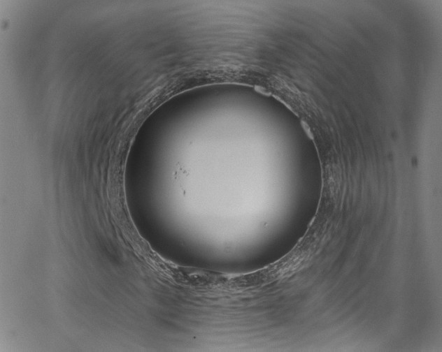 X0000063531057200601201453