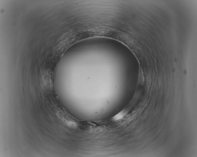 X0000063531058200601201453