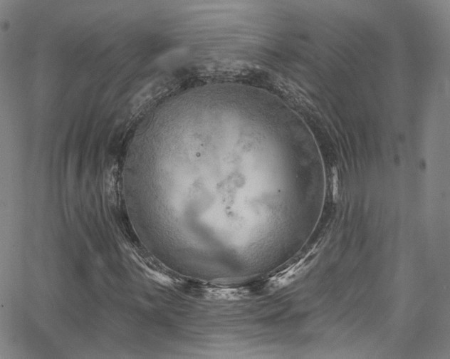 X0000063531059200601201452