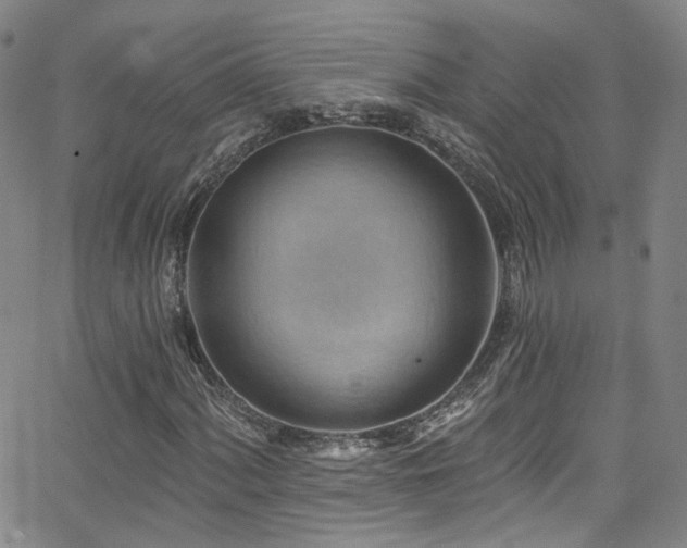 X0000063531060200601201452