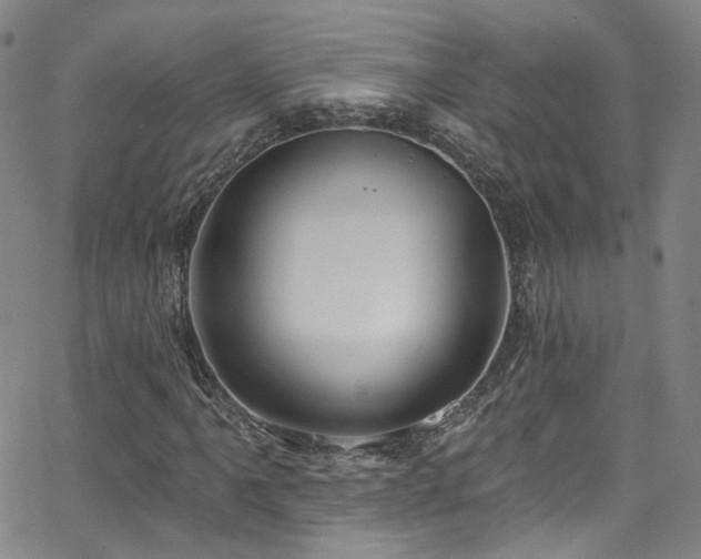 X0000063531061200601201452