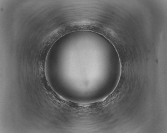 X0000063531062200601201452