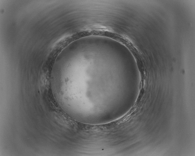 X0000063531063200601201452