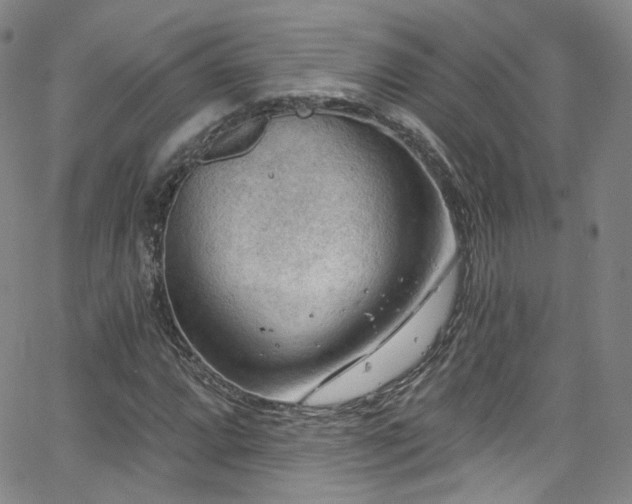 X0000063531064200601201452