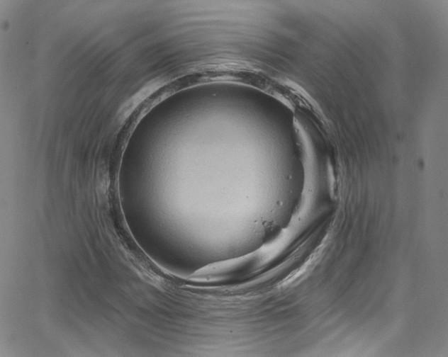 X0000063531065200601201452