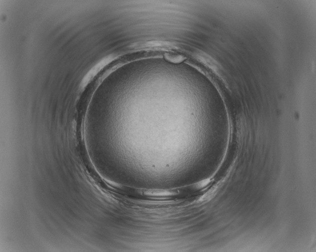 X0000063531066200601201452