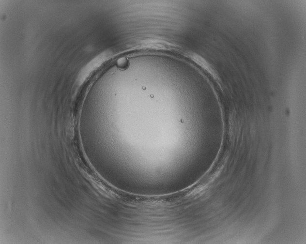 X0000063531067200601201452