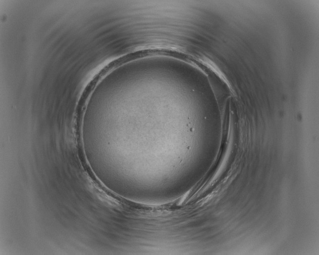 X0000063531068200601201452