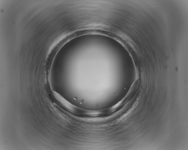 X0000063531069200601201452