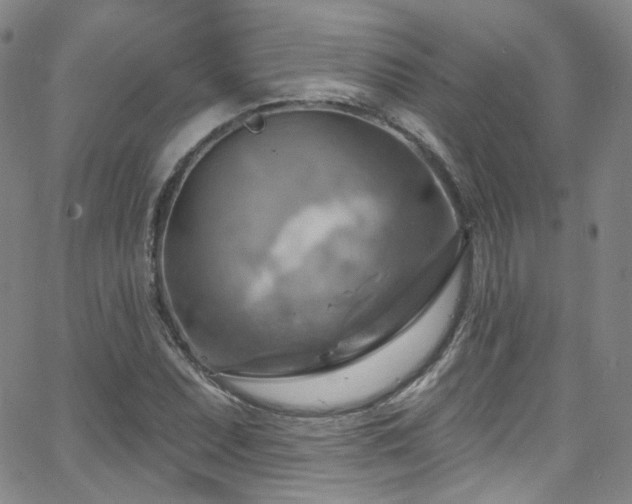 X0000063531071200601201452