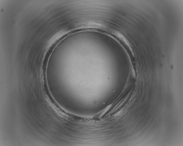 X0000063531072200601201452