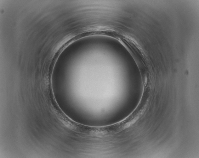 X0000063531073200601201452