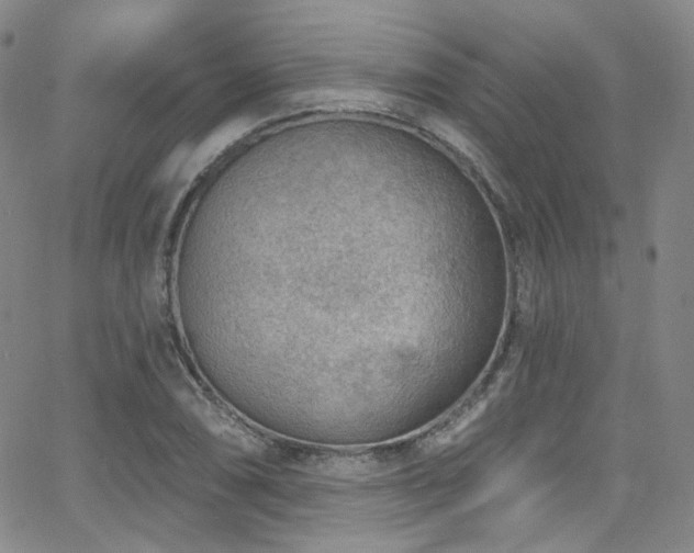 X0000063531074200601201452