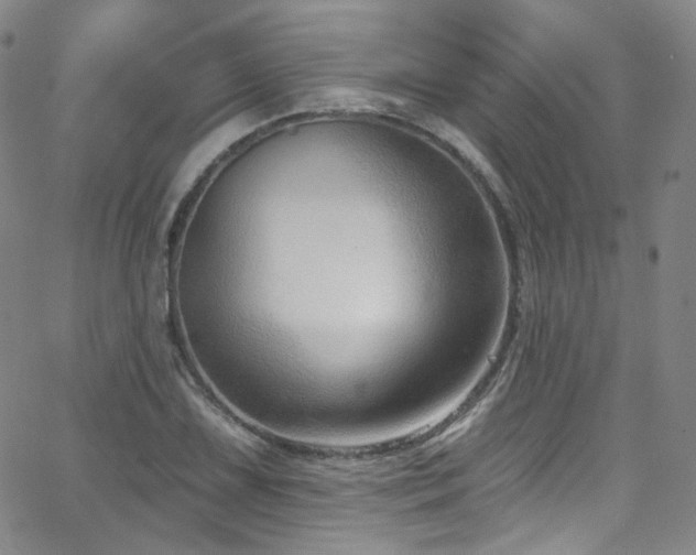 X0000063531075200601201452