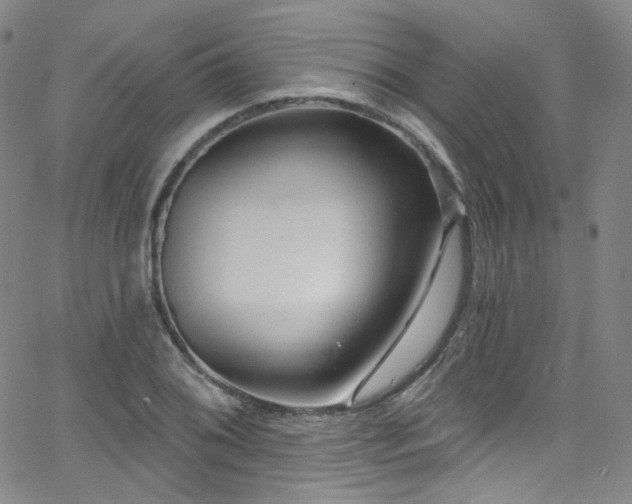 X0000063531076200601201452