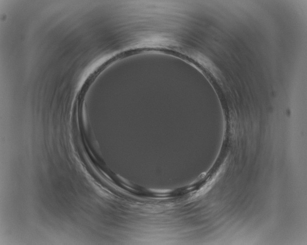 X0000063531077200601201452