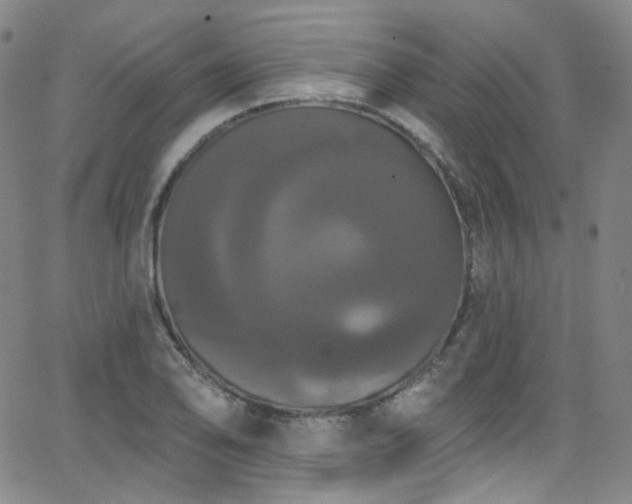 X0000063531078200601201452