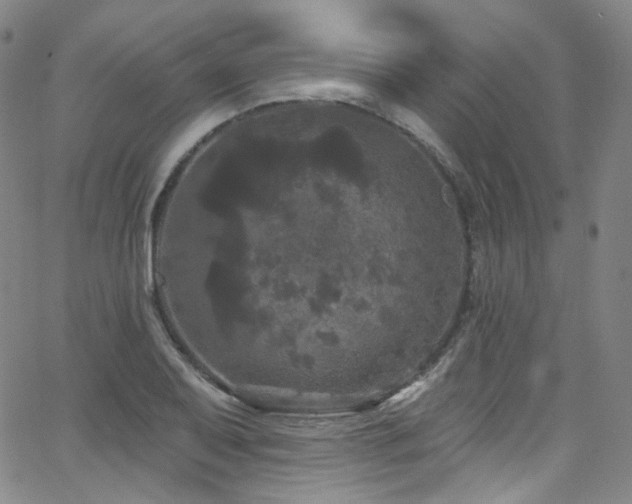 X0000063531079200601201452