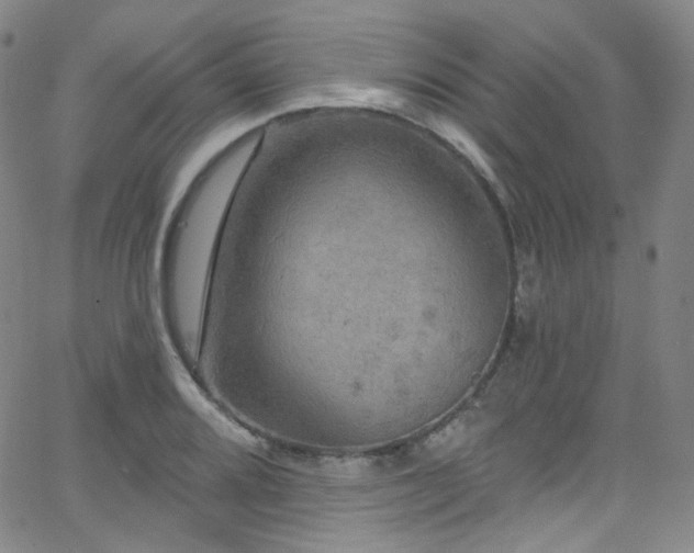 X0000063531080200601201452