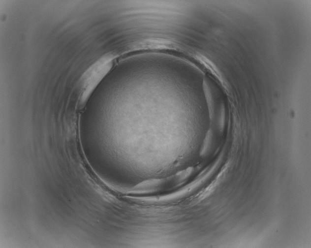 X0000063531081200601201452