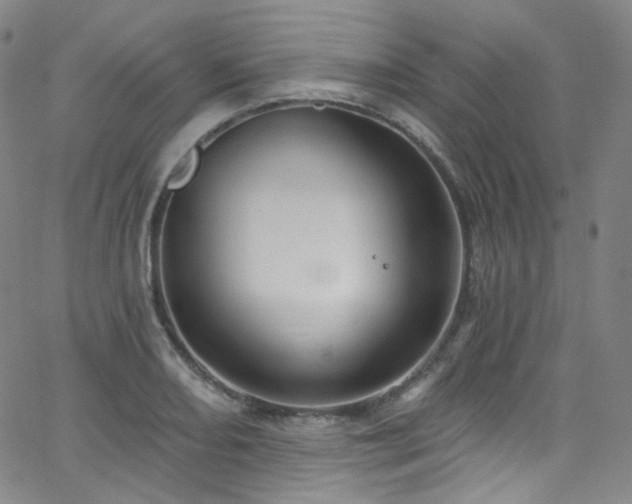 X0000063531082200601201452