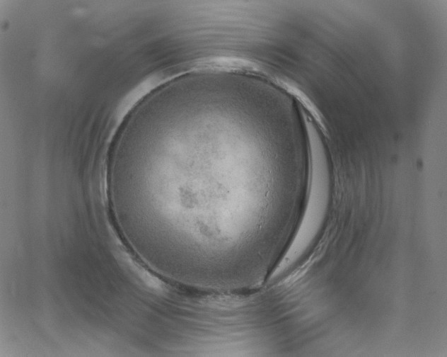 X0000063531083200601201452