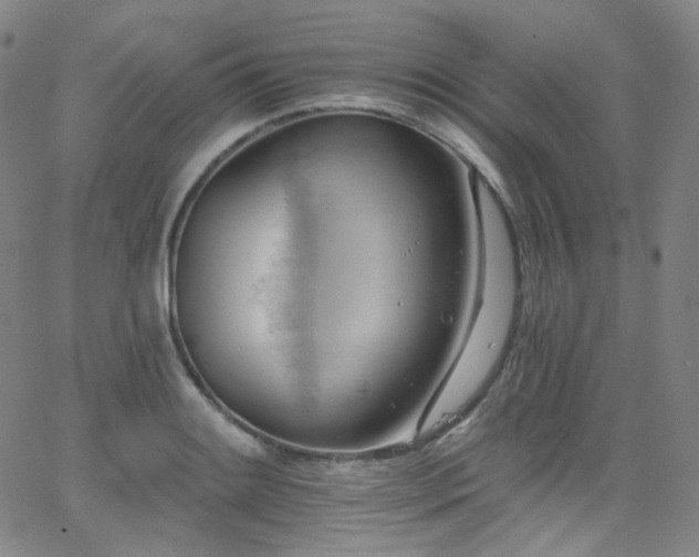 X0000063531084200601201452