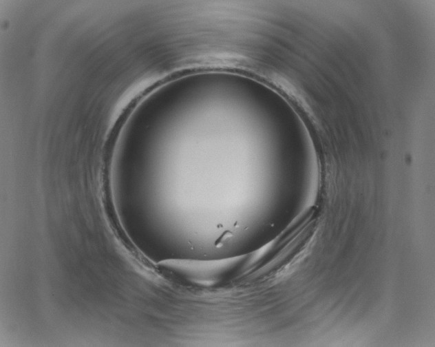 X0000063531085200601201452