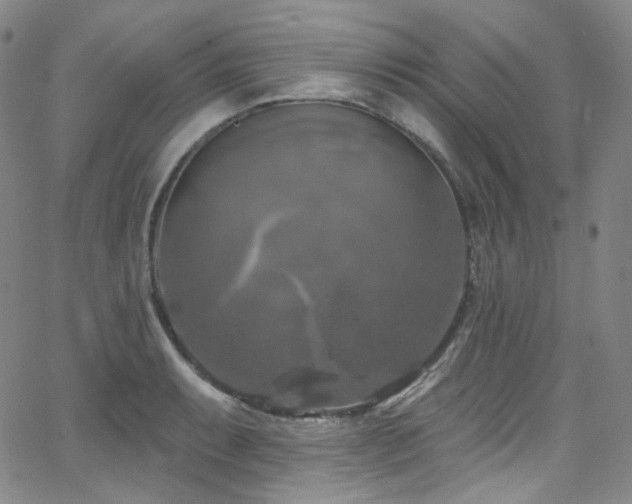 X0000063531087200601201452