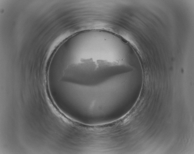 X0000063531088200601201452