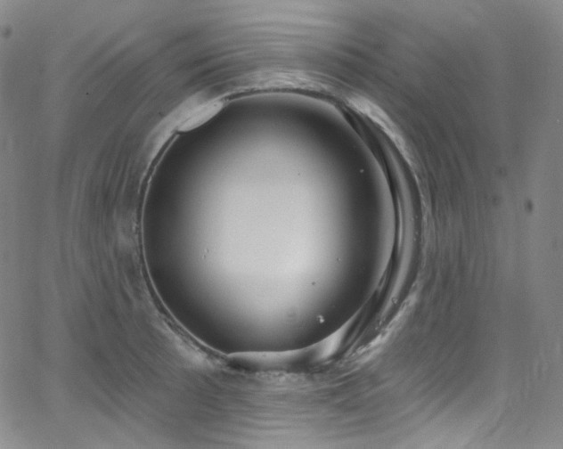 X0000063531089200601201452