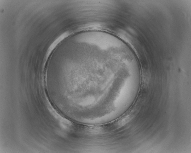 X0000063531090200601201452