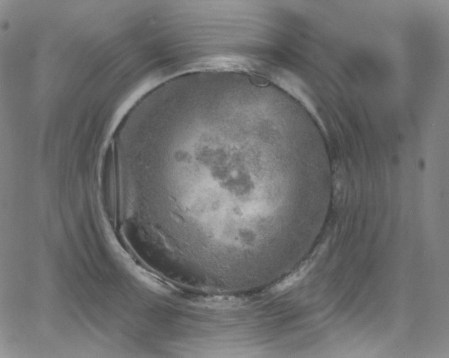 X0000063531091200601201452