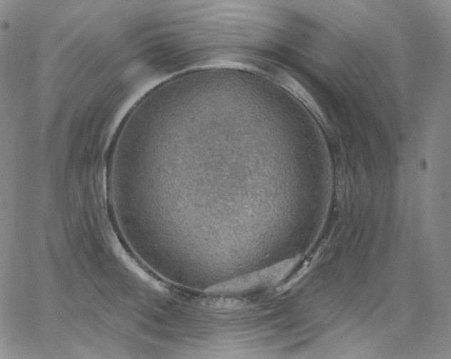 X0000063531092200601201452