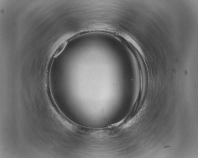 X0000063531093200601201452