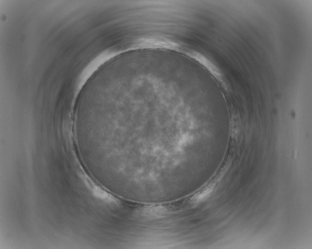 X0000063531094200601201452