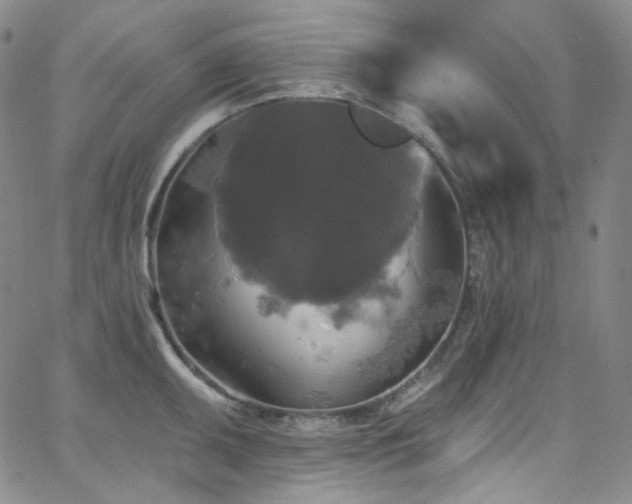 X0000063531095200601201452