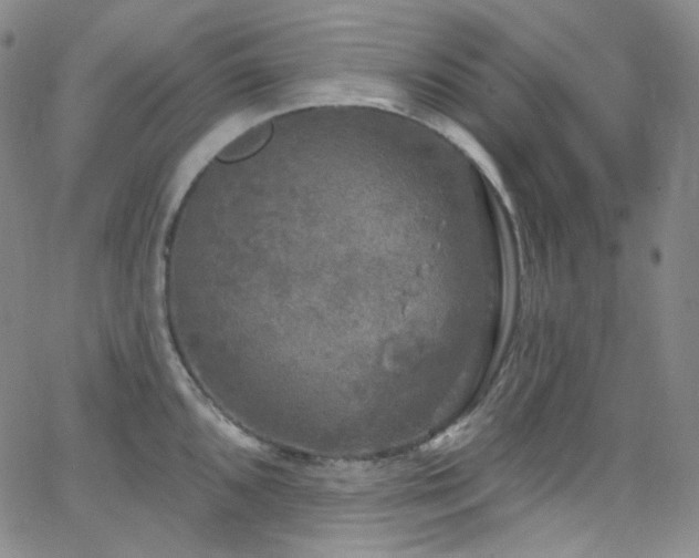 X0000063531096200601201452