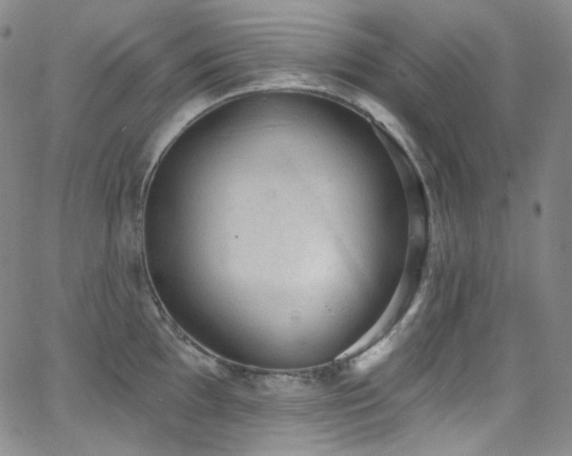 X0000063531097200601201452