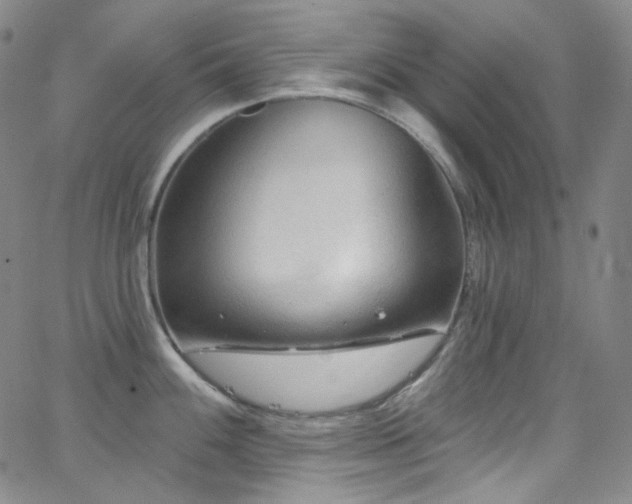 X0000063531100200601201452