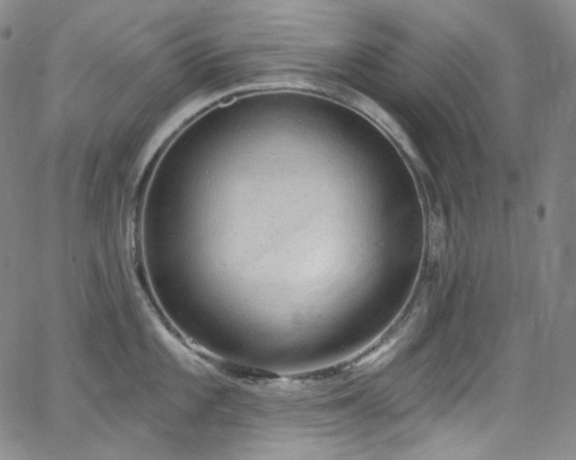 X0000063531101200601201452